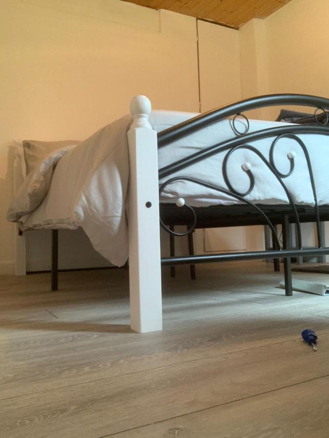 Alpha House Bed and breakfast Londres